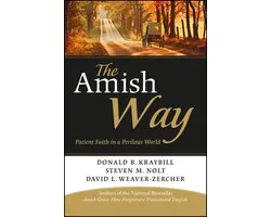 Amish Way Patient Faith Perilous World