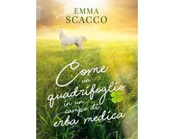 Come un quadrifoglio in un campo di erba medica