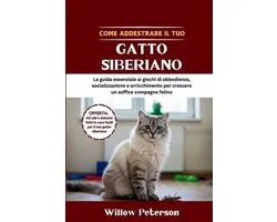 Come addestrare il tuo gatto siberiano