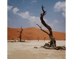 Nyos - Growl (LP)