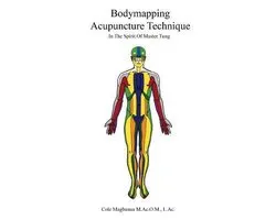 Bodymapping Acupuncture Technique