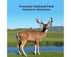 Yosemite National Park Animals & Attractions Kids Book