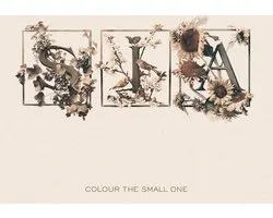 Colour The Small One