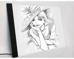 New Age Devi - Ultra-dunne A4 formaat draagbare USB LED Artcraft tracering lichtbak - helderheidsregeling voor kunstenaars - tekenen schetsen animatie en X-ray bekijken