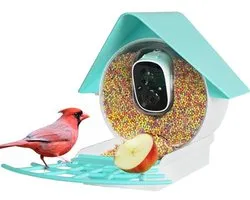 Birdkiss Slimme Vogelvoeder met Camera