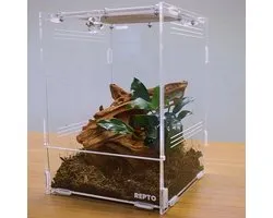 Repto Terra Clear - Insecten Terrarium 20 x 19 x 29