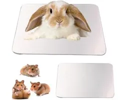 Cool Plate Cooling Pad Hamster Mat Ice Bed - Accessoire d'été pour Hamster 10 x 6 cm / 39 x 24 pouces Cool Plate