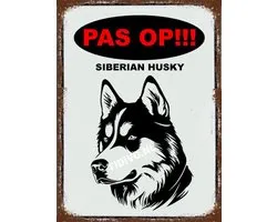 Siberian Husky 17