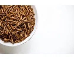 Kippenpakket.nl - Kippensnacks - Nutri Worms 3L Hersluitbare Stazak - Gaat verenpikken tegen - Rijk aan Calcium en Eiwitten