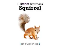 I See Animals 63 - Squirrel
