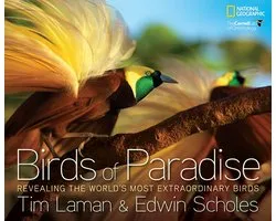 Birds Of Paradise