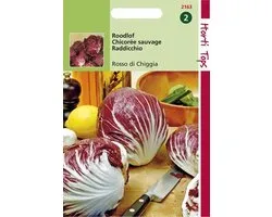 Hortitops Zaden - Radicchio Rosso Di Chioggia (Palla Rossa)-5