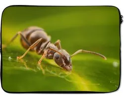 Housse ordinateur 13 pouces 34x24 cm - Drinking Animaux - Housse Macbook & Laptop Drinking ant - Housse ordinateur portable avec photo