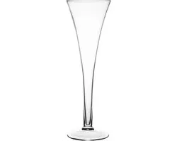Ravenhead Entertain - Proseccoglazen - 220ml - Set van 2