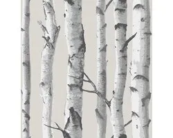 Zelfklevend vinylbehang Birch Trees grijs – berkenbos – 52,1 cm x 5,49 m