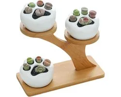 Small Ceramic Succulent Plant Pots, Pots for Plants, Small Porcelain Flower Pot with Stand, Portable Flower Pots with Drainage, Ceramic Succulent Plant Pot for Home, Office
