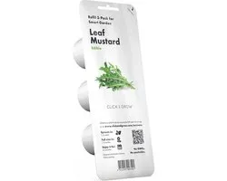click and grow Leaf Mustard plant pods