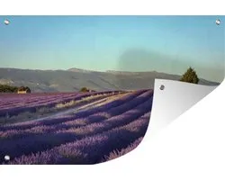 Champ de Lavande en Provence 90x60 cm