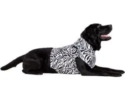 Medical Pet Top Shirt Imprimé Zèbre - XXS