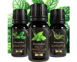 Aromaholik - Natuurlijke Etherische Oliën Set - Verlichting Bij Verkoudheid - Kamfer, Eucalyptus, Pepermunt