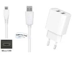 OneOne 2.4A lader met 2 poorten + 0,25m standaard Micro USB kabel. Oplader adapter past op Nook (Barnes and Noble) eReader Color, Simple Touch, Glowlight 3, Glowlight+ Plus, Tablet 7 inch, Tablet 10 inch