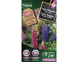 Lupine Polyphile PRO826