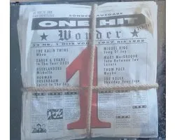 One Hit Wonder (2 CD)