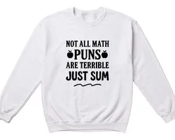 Leraar Sweater – NOT ALL MATH PUNS ARE TERRIBLE JUST SUM – Onderwijs Outfit – Unisex Sweater voor Dames & Heren – Leuk Cadeau