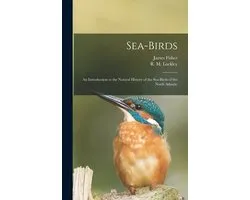 Sea-birds