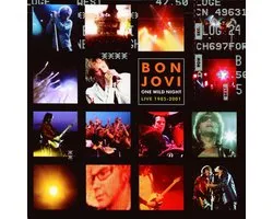 One Wild Night 2001
