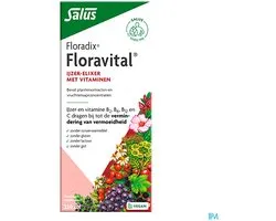 Salus Floradix Floravital – Bij vermoeidheid – Vegan vloeibaar ijzer-elixir met groente-extracten en vruchtenconcentraten – 250 ml