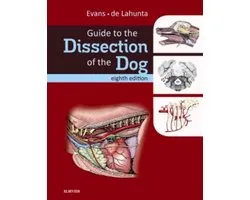Guide To The Dissection Of The Dog