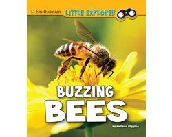 Little Entomologist 4D - Buzzing Bees