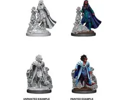 D&D Nolzur's Marvelous Miniatures Tiefling Sorcerer Female 2