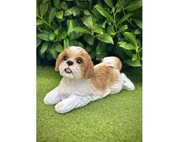 Shih Tzu bruin en wit - hond - dog - 20 cm hoog - polyester - polystone - beeld - tuinbeeld - hoogkwalitatieve kunststof - decoratiefiguur - interieur - accessoire - voor binnen - voor buiten - cadeau - geschenk