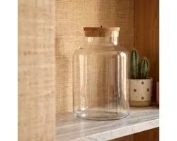 Terrarium bottle garden - DIY Terrarium Online | Florazo