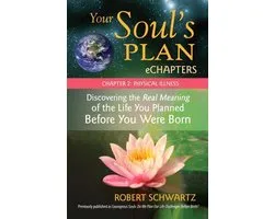 Your Soul's Plan eChapters - Chapter 2: Physical Illness