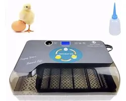 Incubateur à œufs intelligent - système de rouleau automatique avec lampe de cheminée intégrée et bouteille d'eau