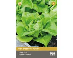 Laitue Sylvestre du Jardin de Bruijn®