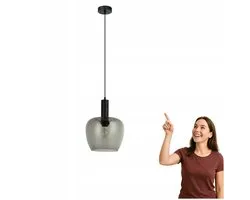 Hanglamp APRICA PND-59769-BK-SG Zwart Rookglas E27