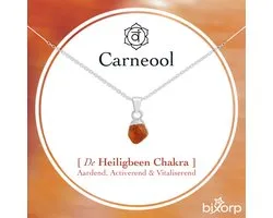 Collier Bixorp en cornaline brute - Argent S925 + Pendentif en pierre précieuse - Pierre non traitée - Collier spirituel Chakra avec carte cadeau - 45 cm + 5 cm ajustable