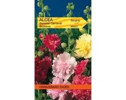 Althaea (Alcea), Stokroos Summer Carnaval