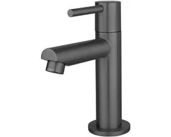 Sanitado Industry Luxe Rechte Toiletkraan Gunmetal