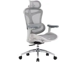 SIHOO Doro C300L Ergonomische Bureaustoel - 4D Armleuningen - Zelfaanpassende Lendensteun - Verstelbare Rugleuning - Mesh Rugleuning - 150kg - Kantoor/Thuis/Gaming - Inclusief gratis hoofdsteun - Wit
