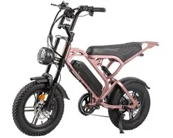 Ebikekopen.com Ouxi H9 - Hydraulique - Avec verrouillage - Système d'alarme - Porte-bagages avant - Fatbike - Vélo électrique - Limiteur - Avec Accessoires de vêtements pour bébé - Repose-pieds - Modèle 2024