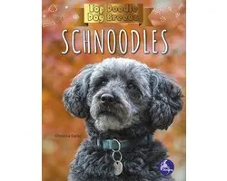 Top Doodle Dog Breeds - Schnoodles