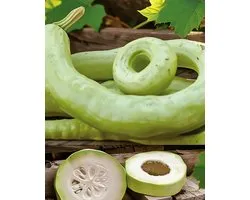 3 sets - Graines de Calebasse Cucuzi Lagenaria Siceraria Annuelle Grimpante