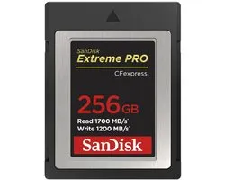 SanDisk SDCFE-256G-GN4NN mémoire flash 256 Go CFexpress