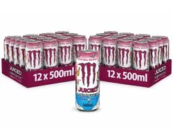 2x Monster Energy - Viking Berry - 12x50cl (multipack)