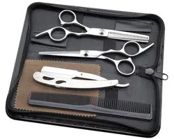 Elency 6 pièces professionnel Ciseaux de coiffure Set - salon de coiffure - coupe de Cheveux - Ciseaux à effiler - Razor - Dépôt Ciseaux - peigne - Coiffure Set - Haircut ciseaux - Ciseaux de coupe - droitier - ergonomique - Acier inoxydable